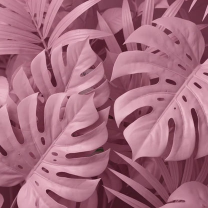 Masque au Bio-Collagène - TOUT TYPE DE PEAU